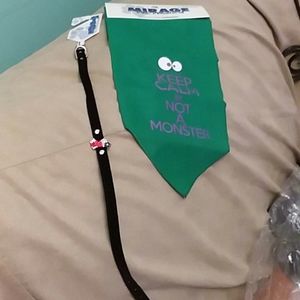 Xmas Pet Scarf and Collar